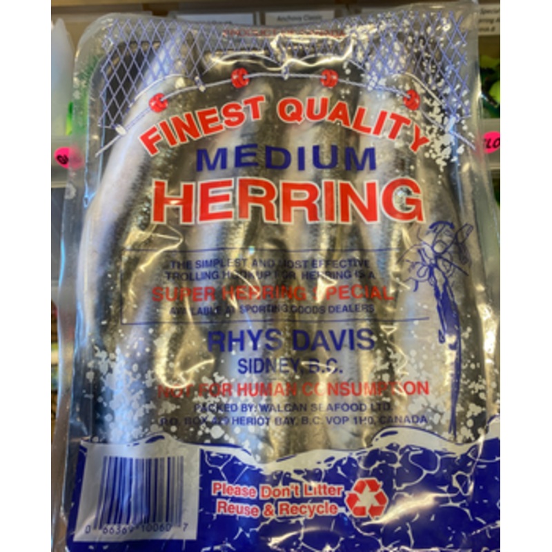 Rhys Davis Herring Medium 7-8 (Blue)