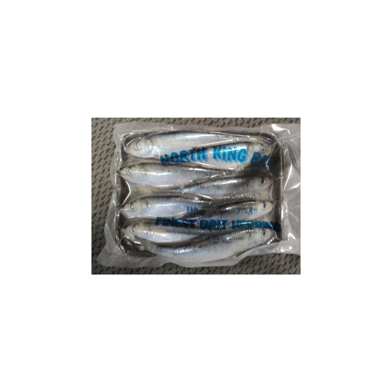 Rhys Davis Herring Medium 7-8 (Blue)