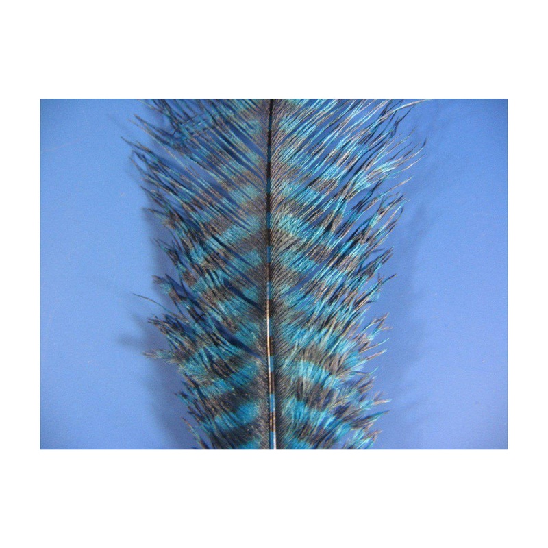 MFC Barred Ostrich Plume Large