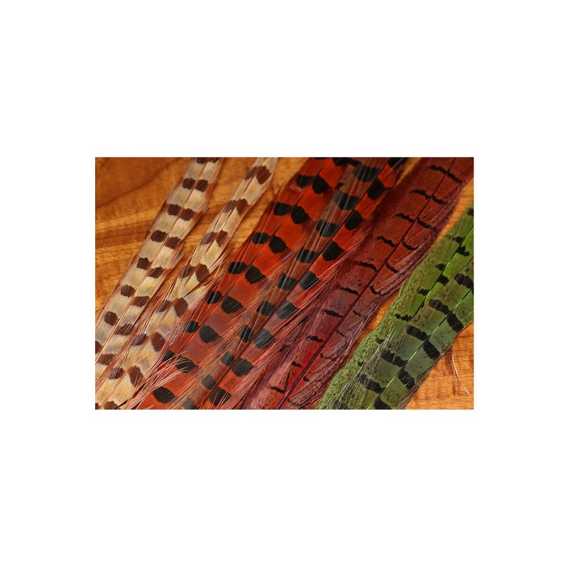 Hook and Hackle Pheasant Rump Patch