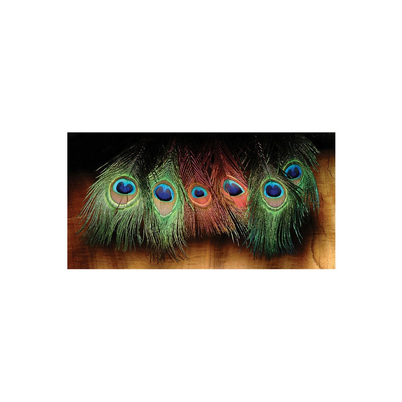 Peacock Eyes|Natural||11 Black||310 Red|Purple