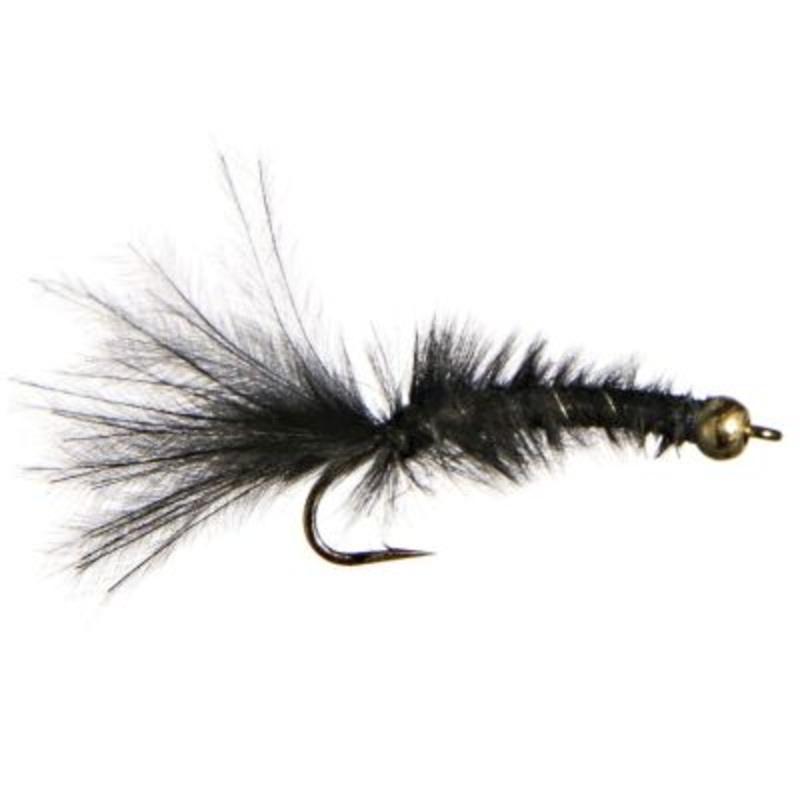 Black Bead Slight Leech Rob’s||10||12|Black|Maroon|Marron / Black