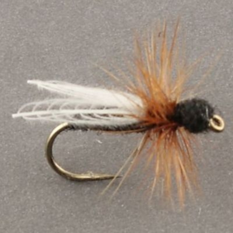 CDC Flying Ant||14|Black|Cinnamon