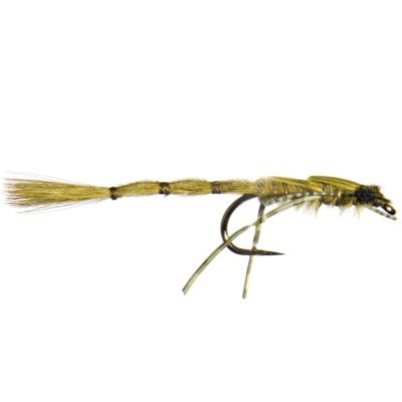 Damsel Nymph BC||12||10|Light Olive|Tan|Olive