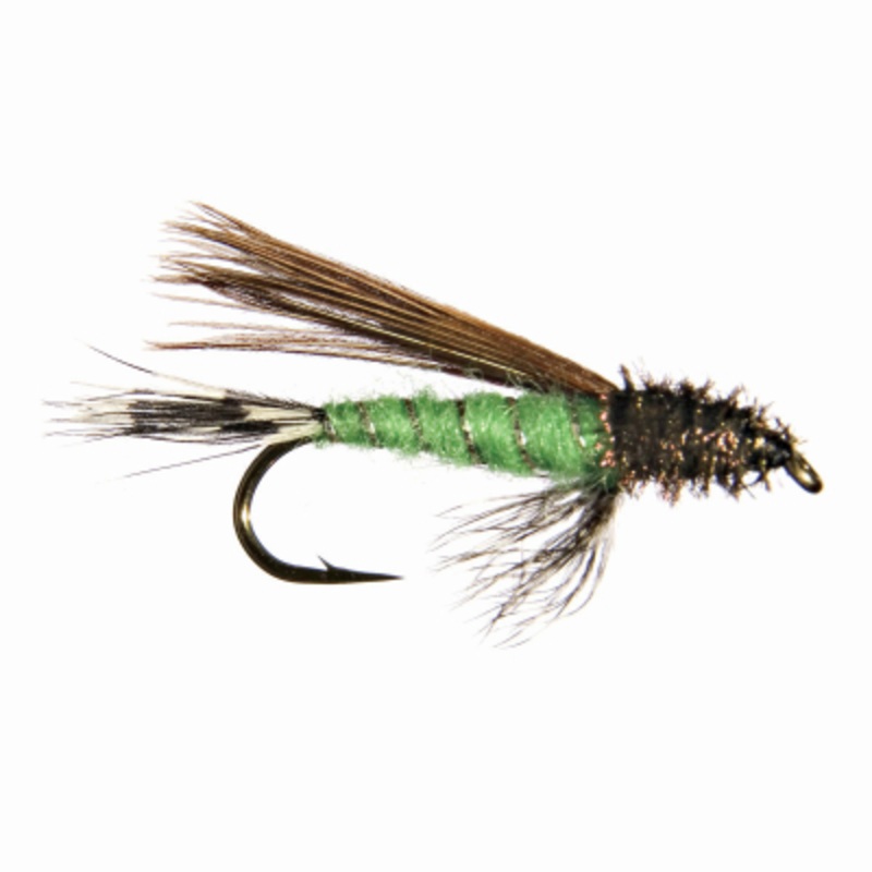 Doc Spratley||8|Black|Green|Light Olive|Red