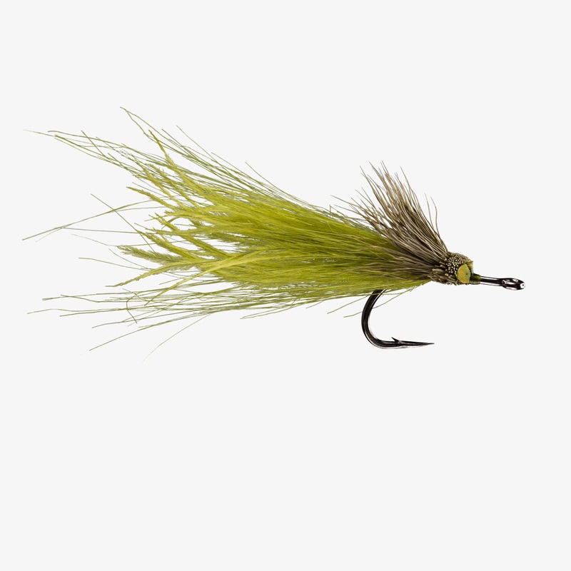 Dread Pirate||1/0|Olive|Rust / Olive|Yellow / Chartreuse|Tan|Purple / Pink
