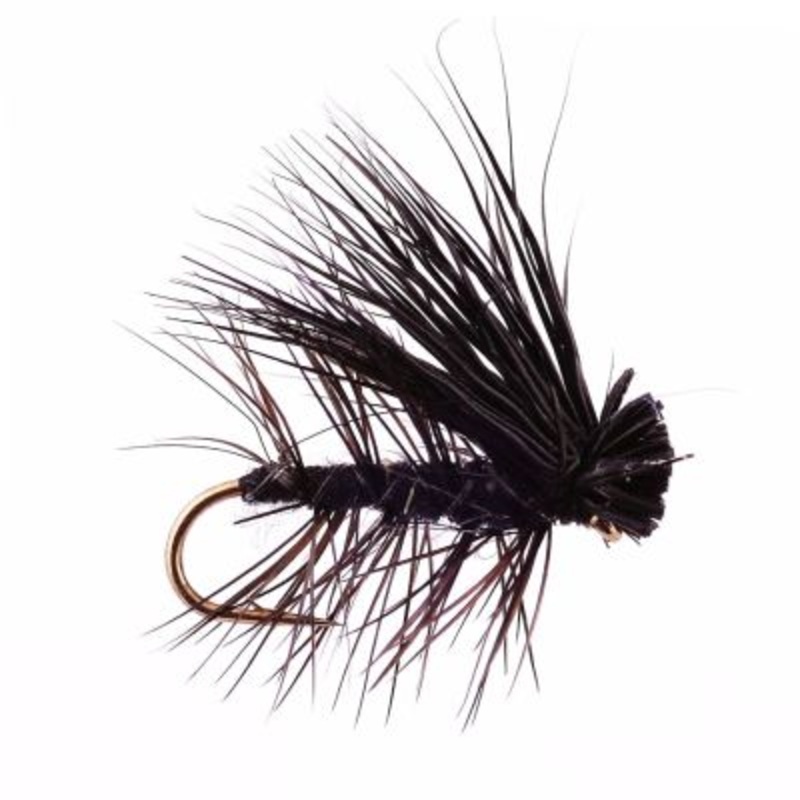 Elk Caddis||12||14||16|Black|Brown|Dun|Olive