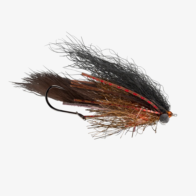 Extrovert||4|Black Brown|Extrovert Olive