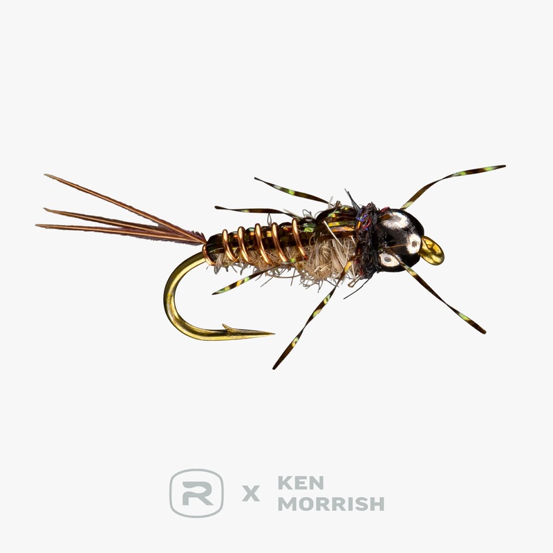 Morrish Anato-May||12||16|Hare’s Ear|Olive
