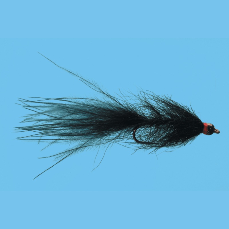 Bead Head Hale Bopp Leech||10|Black|Olive