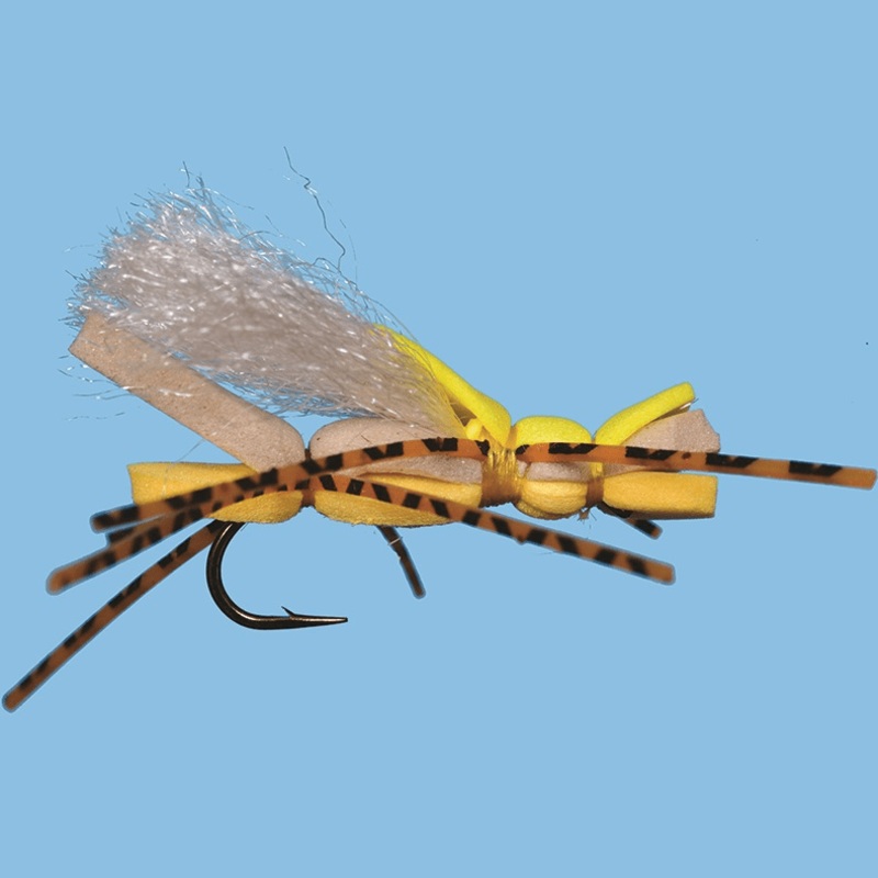 Cloud 9||10|Black|Golden