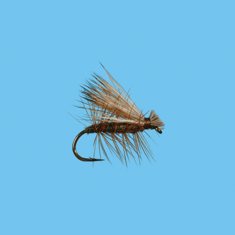 Elk Hair Caddis||12||14|Brown|Olive
