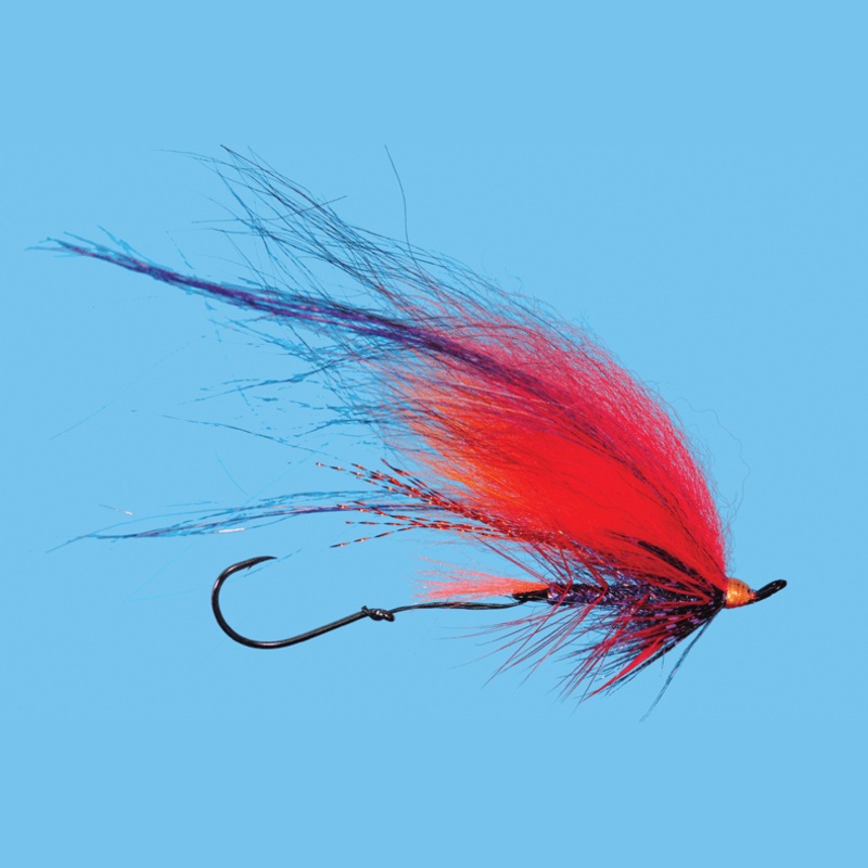 Foxee Dog||2|Popsicle|Blue|Black