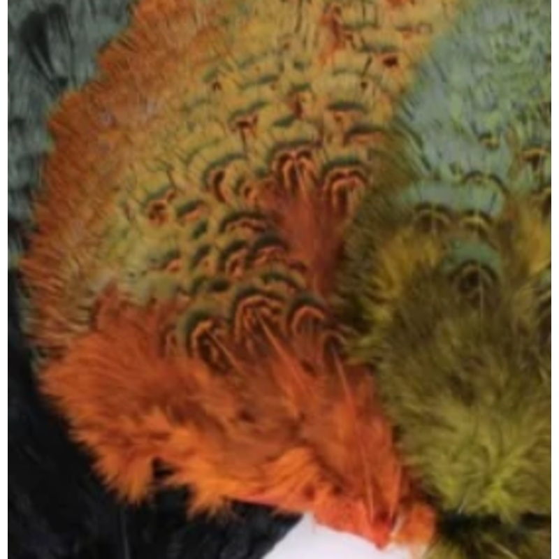 Hook and Hackle Ringneck Rump Patch