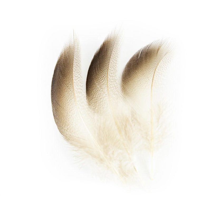 Shor Bronze Mallard Shoulder|S|M|L