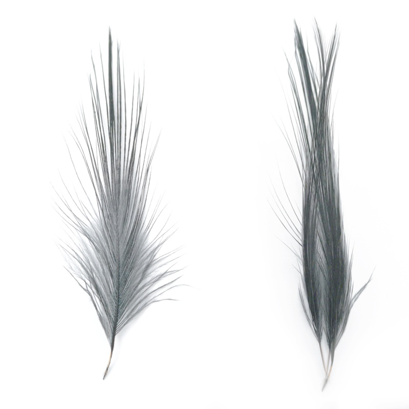 Shor Heron Feathers|S (12 pk)|Black|Natural Gray