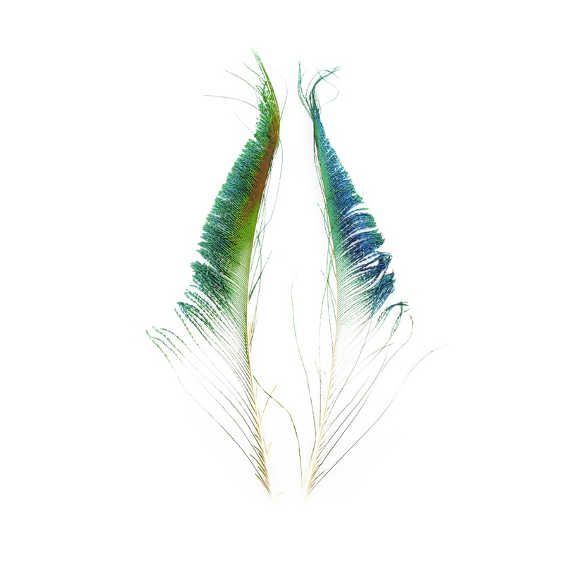 Shor Peacock Swords (Not Paired) – 10 Pack