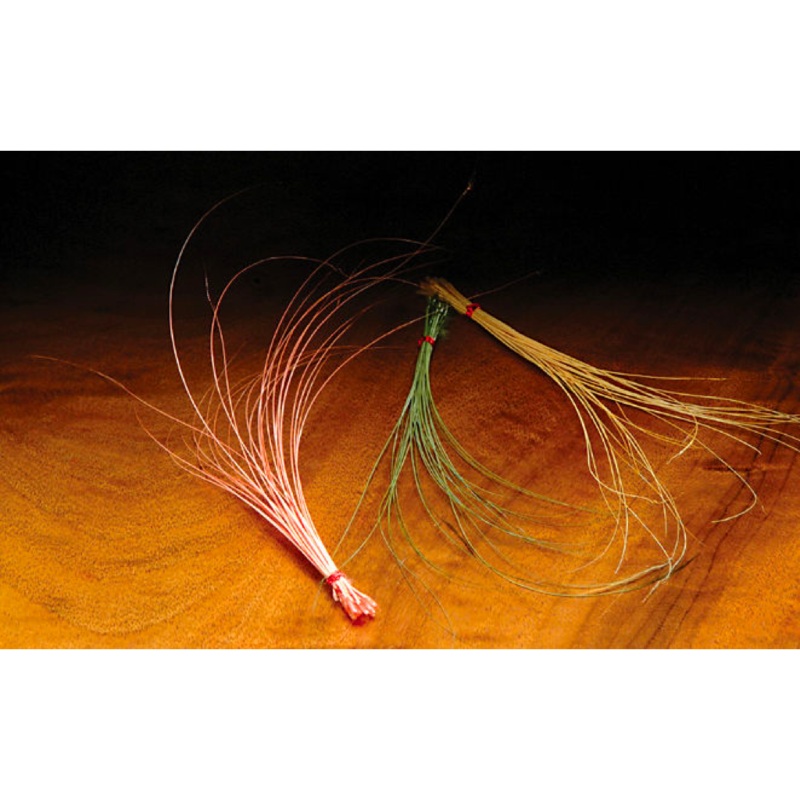 Quill Body|Sulphur Or (QB12)|Black (QB2)|Blue Quill (QB3)|Baetis Olive (QB4)|Bwo (QB5)|Red Quill (QB6)|Lt Cahill (QB8)|Pmd (QB9)|Ginger Quill (QB7)