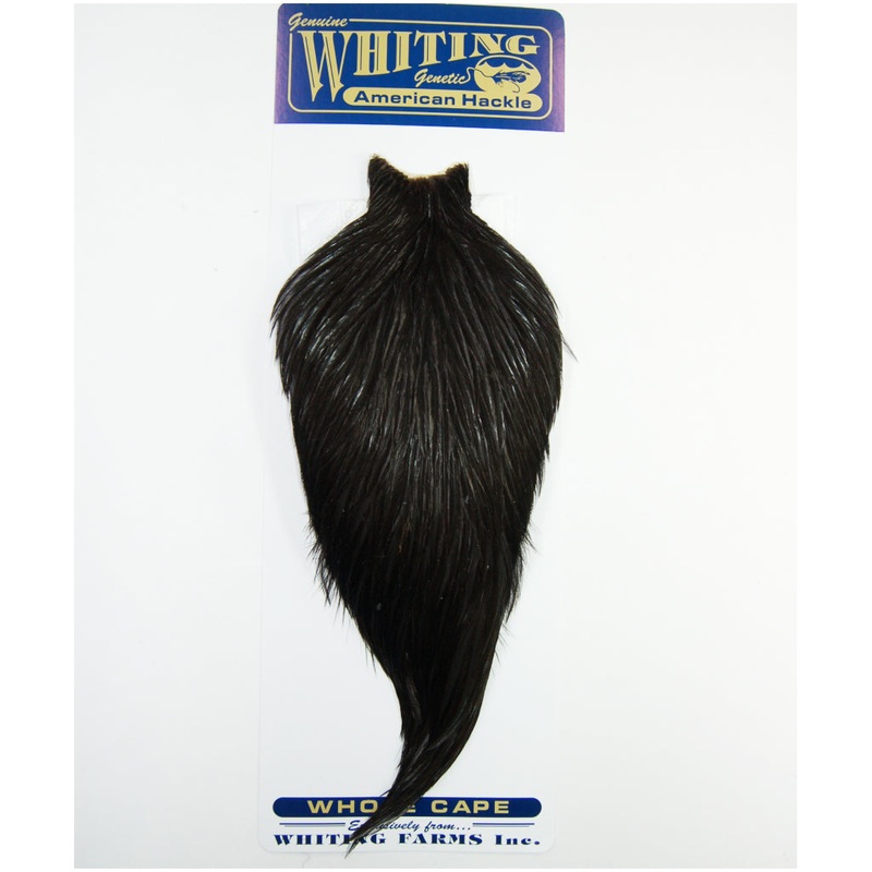 Whiting American Rooster Cape|Grizzly Dyed Brown|Grizzly Dyed Olive|White Shrimp Orange|White/Yellow|Badger Dyed Pink|Badger Dyed Silver Doctor Blue|Grizzly dyed Tan|Black|Grizzly Dyed Shrimp Orange|White Dyed Orange|Grizzly Dyed Kingfisher Blue|Furnace|P