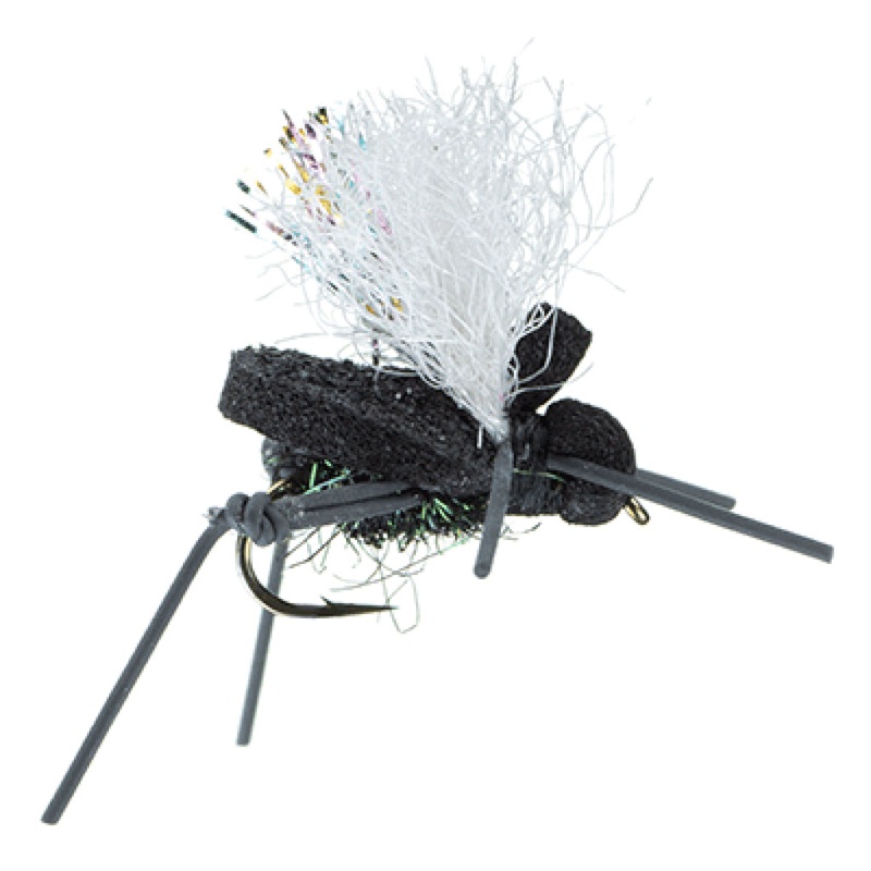 AJ’s Beetle|Black Peacock|Red|Purple||12