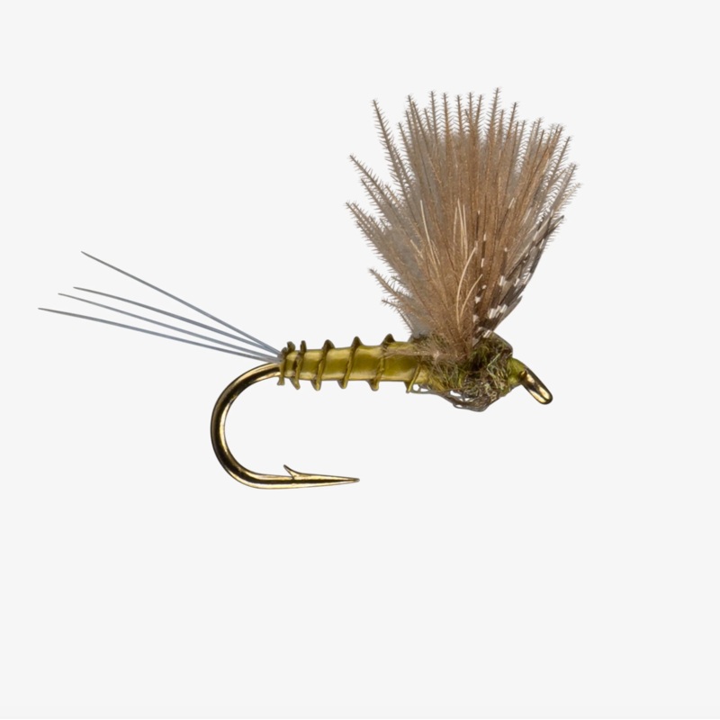 CDC Comparadun|BWO|Mahogany|PMD|Sulphur|Pink||16||18||20||14