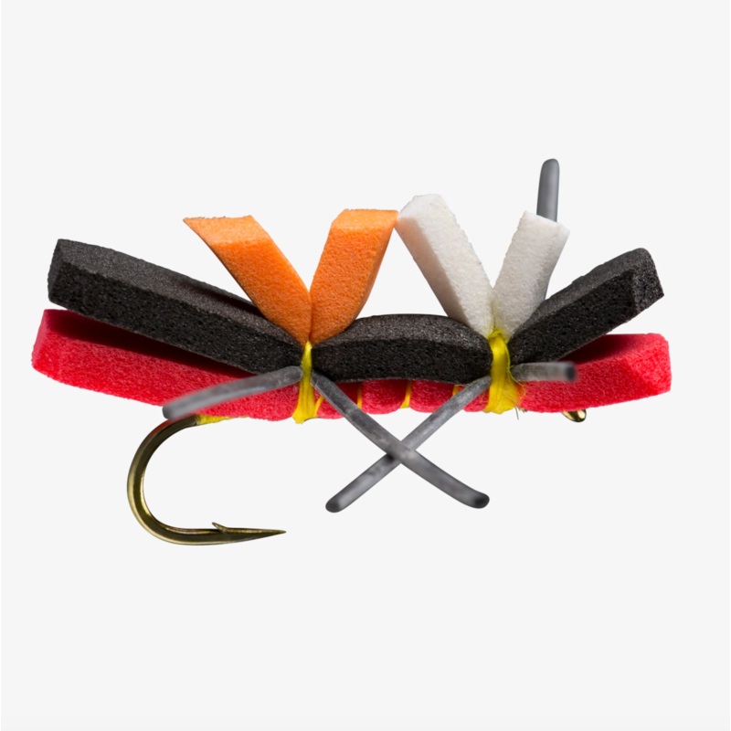 Chernobyl Ant|Black and Red|Black and Tan|Brown and Gold||8||10