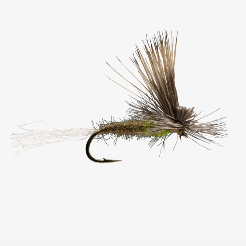 E/C Caddis|Olive|Tan||14||16||18