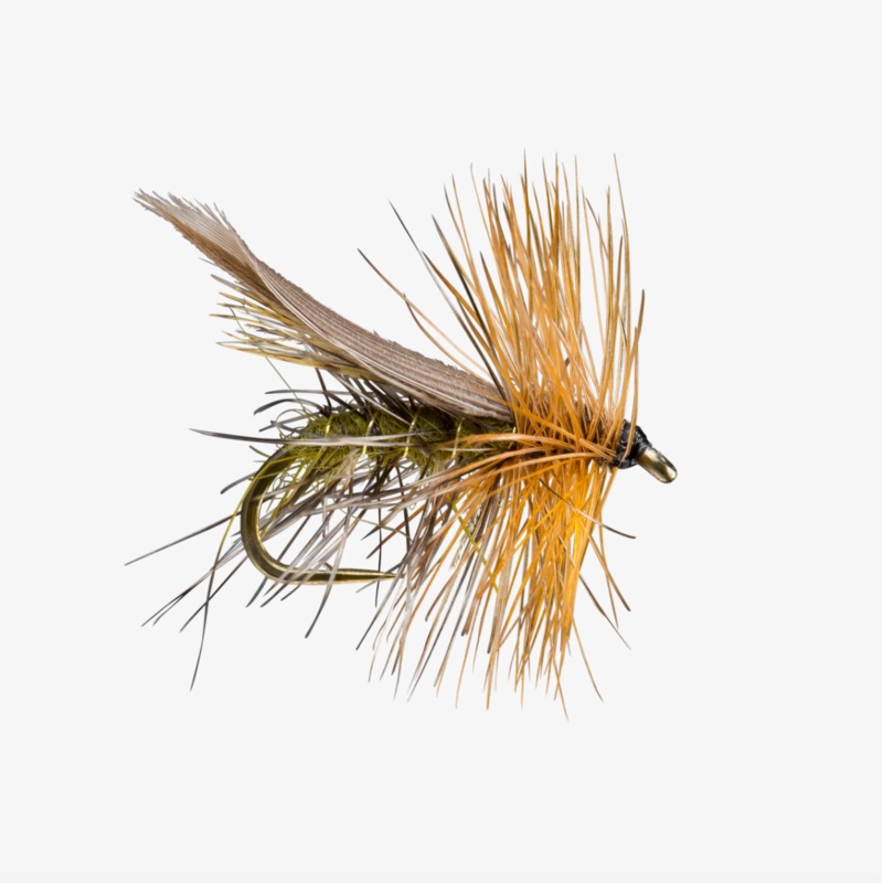 Henryville Special||14||16||18