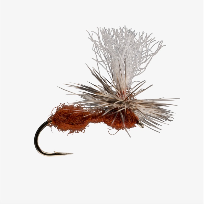 Parachute Ant|Rust|Black||14||16||12