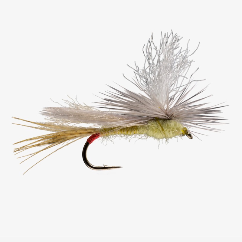 Parachute|Yellow Sally|Baetis|Callibaetis|Mahogany|Orange Sulphur|Pink|PMD|Purple|Rusty||12||14||16||18||20||22