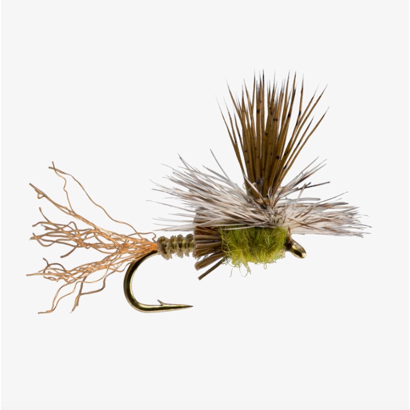 Paracripple|Baetis|Pink|PMD||14||16||18