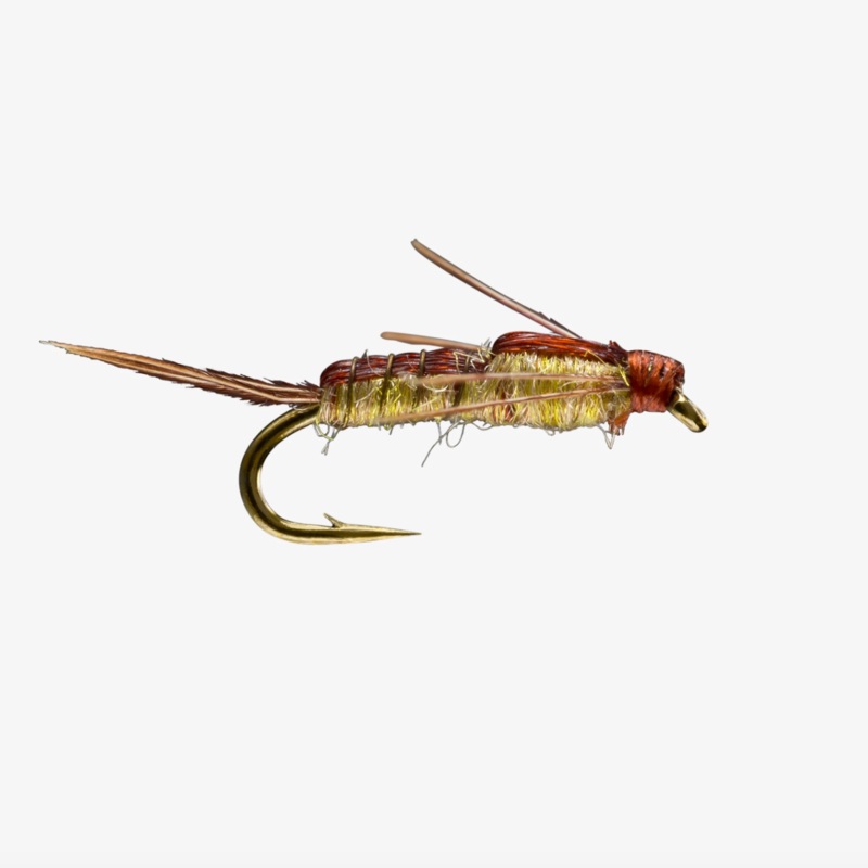 PMD Nymph||16||18