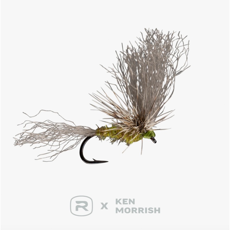 RIO’s Morrish May Day|BWO|PMD||15||17||19
