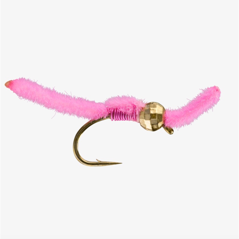 San Juan Worm TB|Pink|Purple|Red|Wine|Worm Brown||12