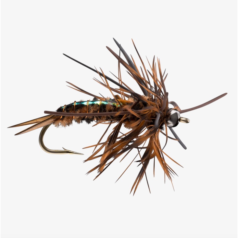 Speculator|Brown|Gold||6||8||10