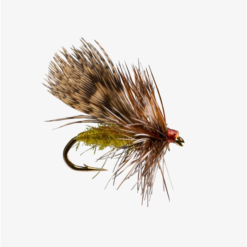 Spent Partridge Caddis|Olive|Tan||14||16||18