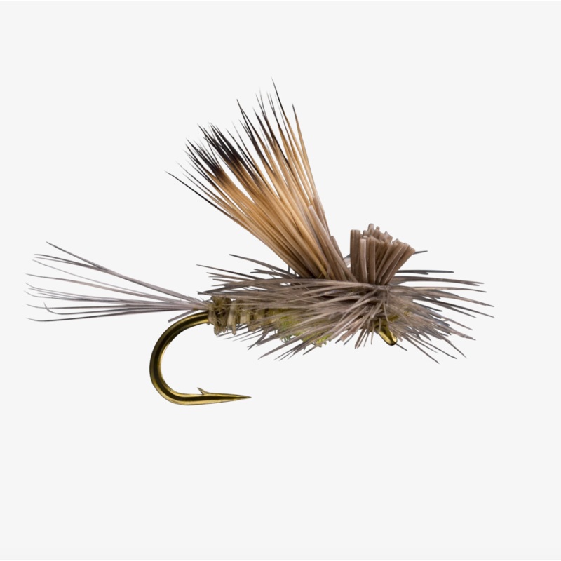 Tilt Wing Dun|BWO|Mahogany|PMD||16||18||14