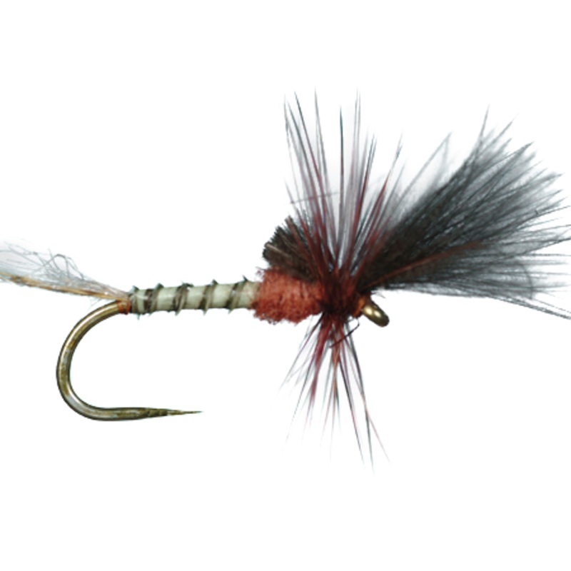 HARROP’S LAST CHANCE CRIPPLE|Mahogany|BWO|PMD|Sulphur||16||18||20||22||14