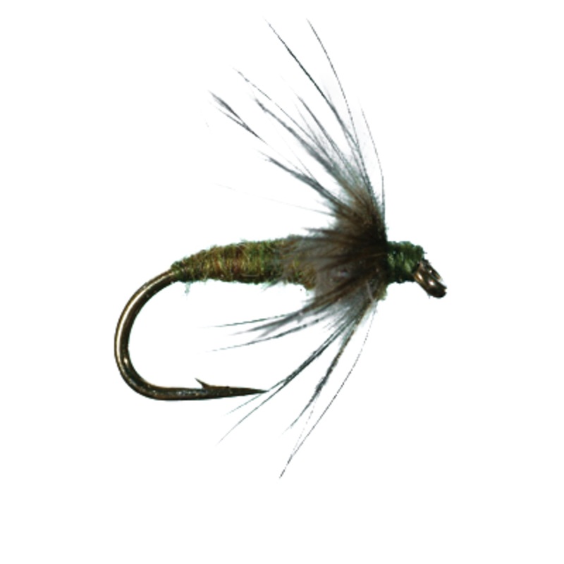 SOFT HACKLE FLY|BWO|Hare’s Ear|March Brown|Olive|Orange|PMD|Pheasant Tail||16||18||12||14