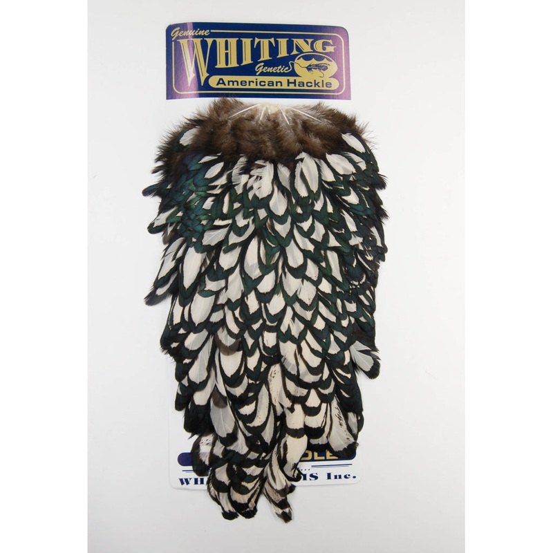 Whiting American Hen Saddle|Grizzly|Brown|Black|Black Laced White|Mottled Grey Wild Type|Light Ginger|Medium Ginger|Grizzly Purple|Red|Purple|Unique Variant|White Dyed Coachman Brown|Medium Dun|Light Dun|Grizzly Dyed Yellow|Black Laced White Dyed Yellow|W