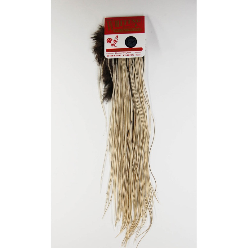 Whiting Silver Quarter Saddle|Honey Dun|Medium Ginger