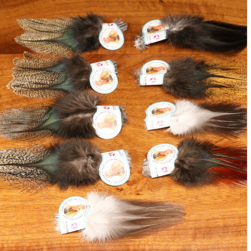 Coq De Leon Tailing Feather|Barred Speckled (Aconchado) (CDL 4)|Ginger Speckled (Flor De Escoba) (CDL 6)|Light Speckled Pardo (Claro) (CDL 1)|Dark Speckled Pardo (Oscuro) (CDL 3)|Medium Speckled Pardo (Medio) (CDL 2)