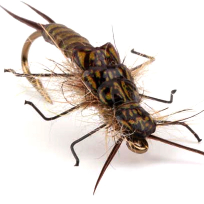 Pro Sportfisher Stonefly Kit|Black/Medium (16 Pcs)|Brown/Medium (16 Pcs)|Black/Large (14 Pcs)|Brown/Large (14 Pcs)