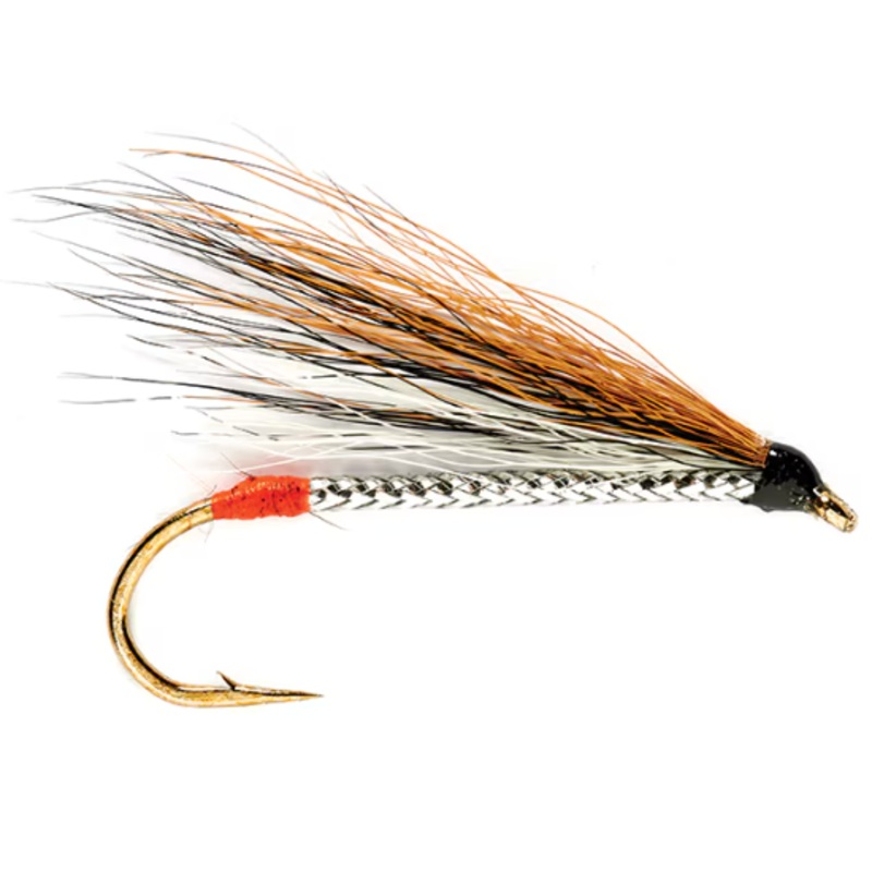 Black Nose Dace||6||8||10