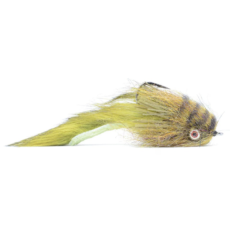 El Sculpito|Olive|Tan||2