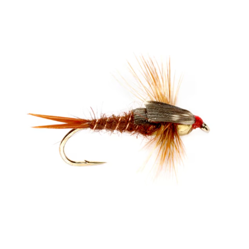Stonefly Nymph (TBH)|Brown|Black|Yellow||10||12||14||8