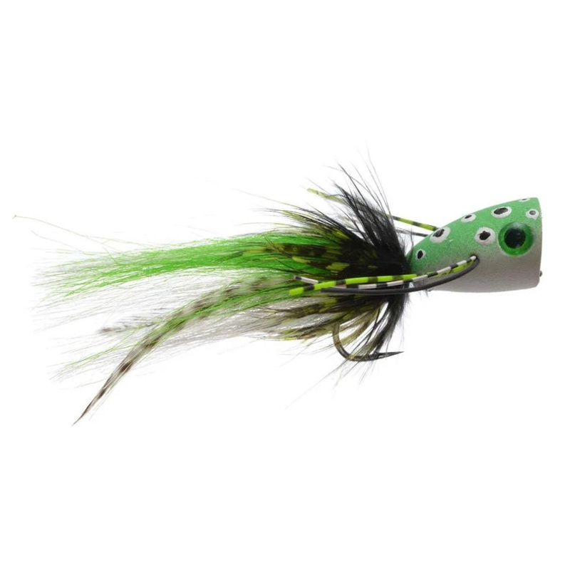 J’s Psychoactive Frog Popper|White Belly|Yellow Belly