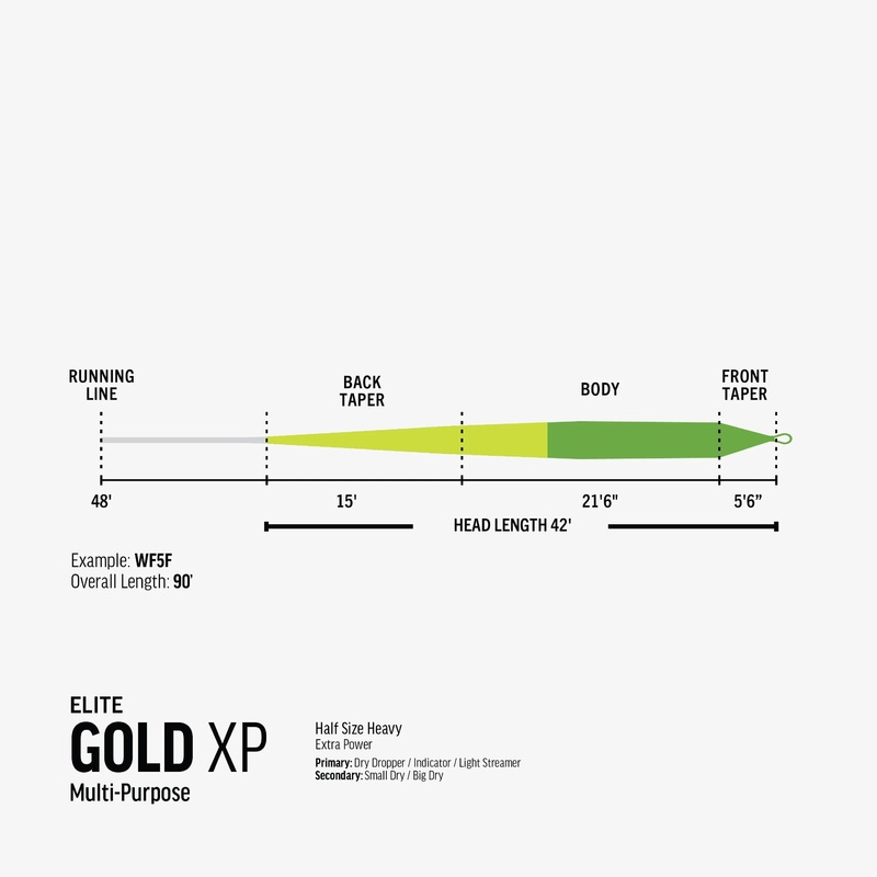 Rio Elite Gold XP|WF3F|WF4F|WF5F|WF6F|WF7F|WF8F