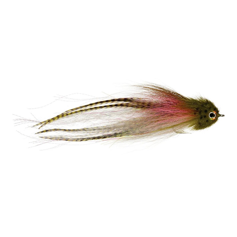 Siron’s Girl Next Door|Firetiger|Black/Purple|Rainbow|Olive/Yellow||6/0