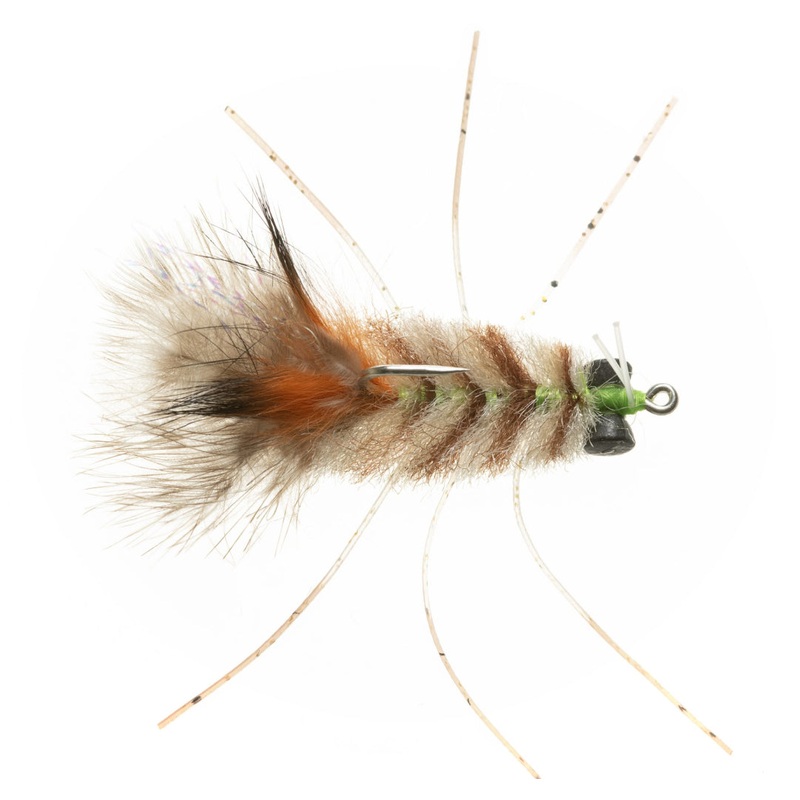 EP Permit Crab|3-Tone |1|Olive Green |1|Tan |1